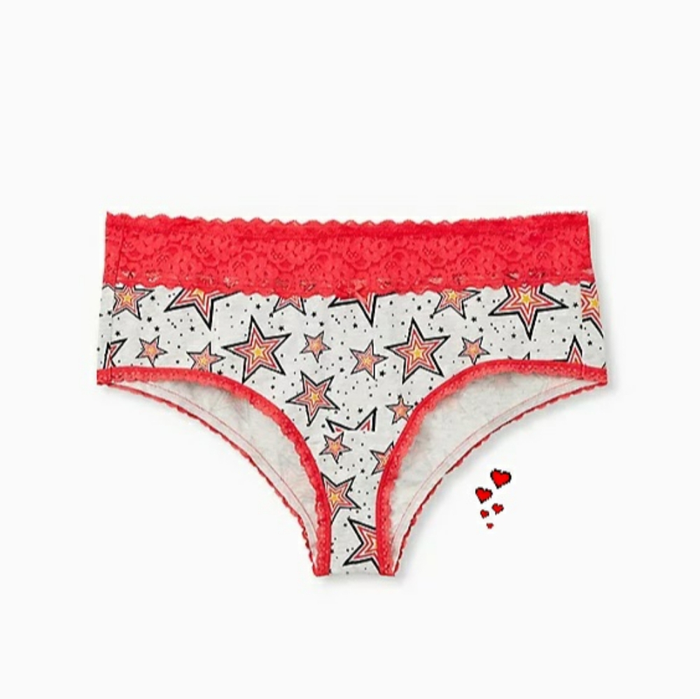 Torrid panties
